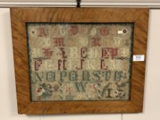A nineteenth century alphabet sampler, 35 cm x 27 cm, framed.