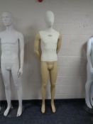 A male mannequin on stand (two tone).