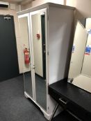 A painted Ducal pine double door mirrored wardrobe