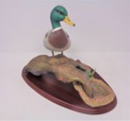 A Border Fine Arts Water fowl of the world figure A0477 - Mallard