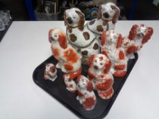 A tray containing a pair of Staffordshire dogs together with seven further Staffordshire dogs.