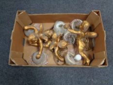 A box containing three gilt chalk cherub light fittings with glass shades.