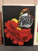 Continental school : Butterfly on a flower, oil on canvas, 60 x 80 cm, signed Bekker, framed.