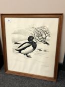 Sikker Hansen : A mallard, monochrome print, 44 x 50 cm, framed.