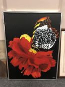 Continental school : Butterfly on a flower, oil on canvas, 60 x 80 cm, signed Bekker, framed.