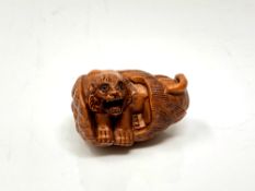 A carved Chinese hardwood netsuke - Tiger in corn husk