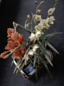 A box of oriental style planters, china candlesticks, dinner plates,