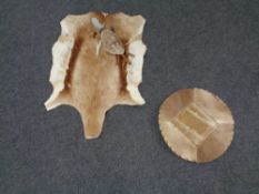 An African animal hide rug,