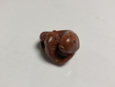 A carved Chinese hardwood netsuke - Two carp