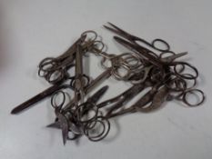 A tub containing a quantity of antique and later scissors