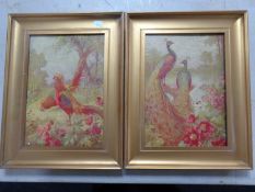 A pair of antiquarian textured prints depicting peacocks and chickens in gilt frames