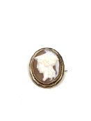 A rolled gold antique cameo brooch