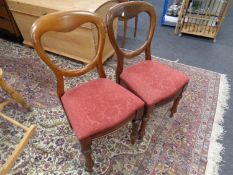A pair of Victorian mahogany balloon back chairs