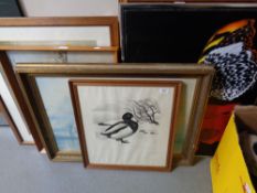 A Sikken Hansen signed print of a duck,