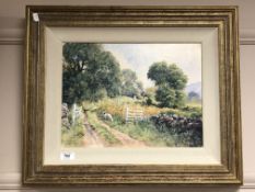 J Hush : Sheep by a gate, oil on canvas,