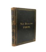 NEW ZEALAND FERNS [1880]: