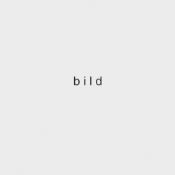 Timm Ulrichs. ”Bild”-Bild. 1966/99