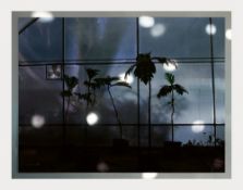 Anri Sala. Eversion (red, white, violet, green, blue), E_white. 2009