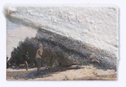 Sigalit Landau. Revivim. 2016
