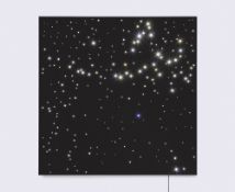 Angela Bulloch. Night Sky: Sirius.4. 2008