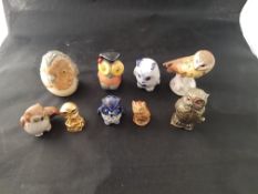 A collection of Small Owls