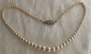 Vintage Lotus pearls necklace in box with pretty clasp