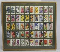 Mounted & Framed Flower Cigarette Cards