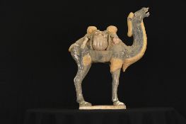 Terracotta Camel