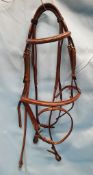 Shires Avignon Bridle