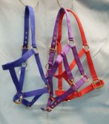 3 Shires Headcollars