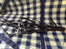 English Complete Full Size Double Show Bridle