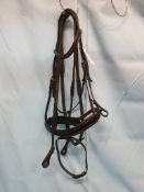 Black Bridle
