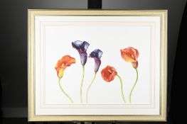 Stunning Framed Limited Edition 