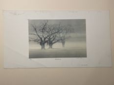 Martin Caulkin Signed Limited Edition Print, Misty Morning 1984.
