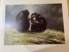 Spencer Hodge Large Limited edition Print 