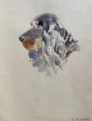 Watercolour signed G. M. Craig, (Gertrude Mary) Spaniel dog