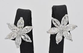 Earrings - 3.69 ct Diamond