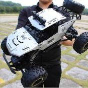 2x Large 4x4 RC cars