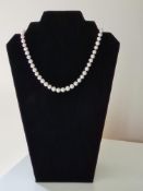 Single Row String Of White Cultured Pearls