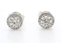 18k White Gold Halo Set Earrings 0.65 Carats