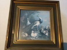 A Tobias Stranover Print of Peacocks