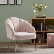 (R10K) 1 X Sophia Occasional Chair Blush. Velvet Cover With Rubberwood Legs(H77xW64xD71cm) RRP £60