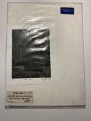 Dave Gunning David Gunning Peter Pan Limited Edition Etching 92. Valued at £350