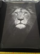 Selection of Canvas prints.