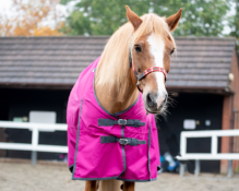 Equestrian King Turnout Rug 6' 0