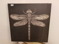 Dragonfly Print On Canvas 600 X 600mm