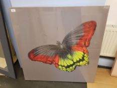 Butterfly Print On Canvas 860 X 860mm