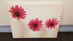 Pink Cape Daisies Canvas Print By Alyson Fennell 2015 (800 X 600 X 20mm)