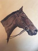 “Arcle” Alan King