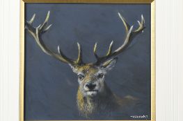 Original Pastel by Joel Kirk Stag Study